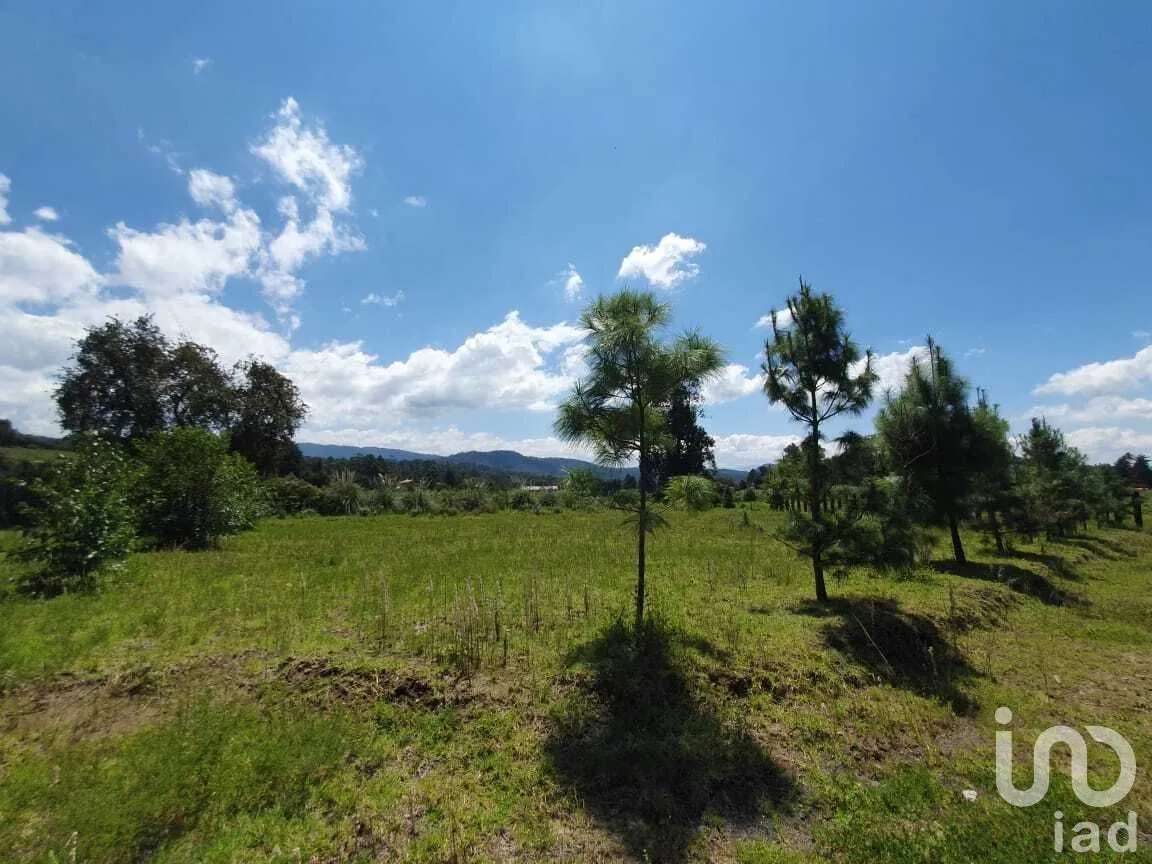 Terreno en Venta en San Simón el Alto, Valle de Bravo, Estado De México | NEX-227323 | iad México | Foto 7 de 14
