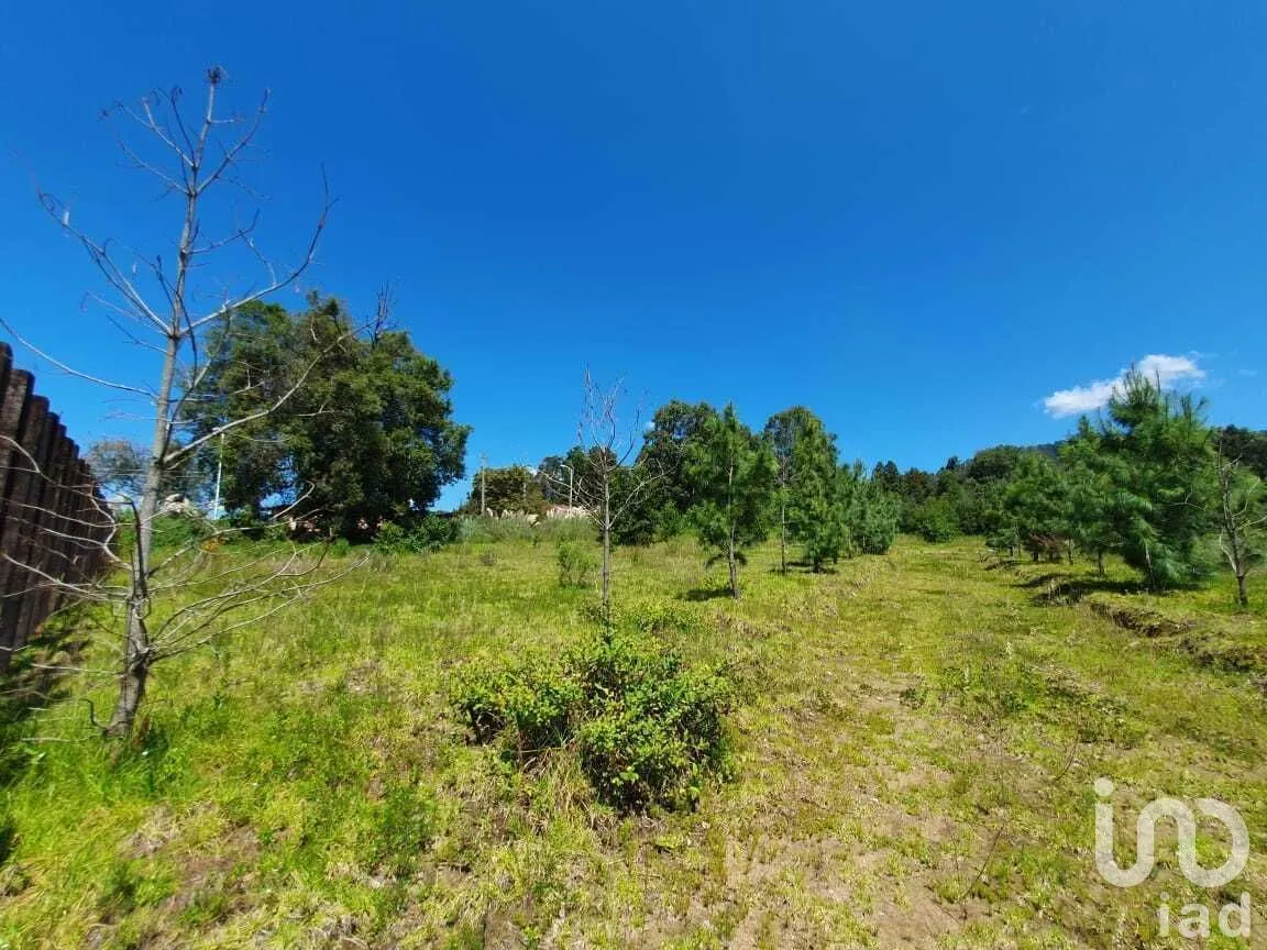 Terreno en Venta en San Simón el Alto, Valle de Bravo, Estado De México | NEX-227323 | iad México | Foto 9 de 14