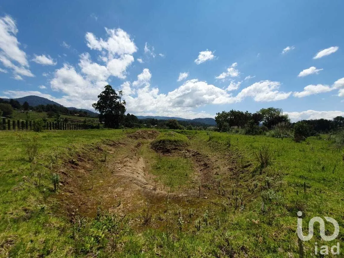 Terreno en Venta en San Simón el Alto, Valle de Bravo, Estado De México | NEX-227323 | iad México | Foto 10 de 14