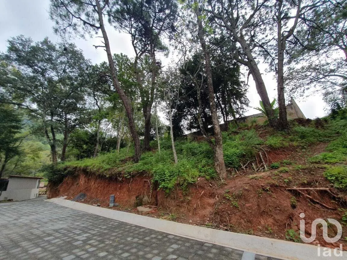 Terreno en Venta en Valle de Bravo, Valle de Bravo, Estado De México | NEX-227324 | iad México | Foto 2 de 16