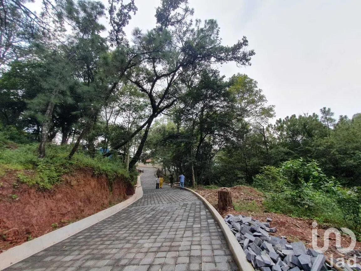 Terreno en Venta en Valle de Bravo, Valle de Bravo, Estado De México | NEX-227324 | iad México | Foto 3 de 16