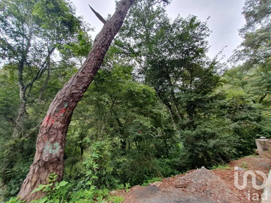 Terreno en Venta en Valle de Bravo, Valle de Bravo, Estado De México | NEX-227324 | iad México | Foto 6 de 16