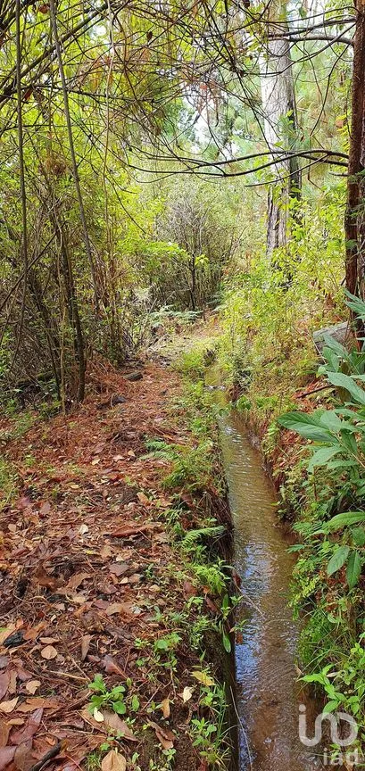 Terreno en Venta en Cerro Gordo, Valle de Bravo, Estado De México | NEX-227327 | iad México | Foto 4 de 13