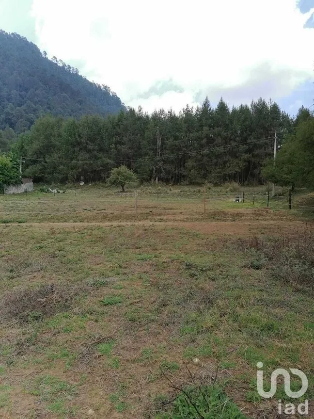 Terreno en Venta en Cerro Gordo, Valle de Bravo, Estado De México | NEX-227329 | iad México | Foto 3 de 7