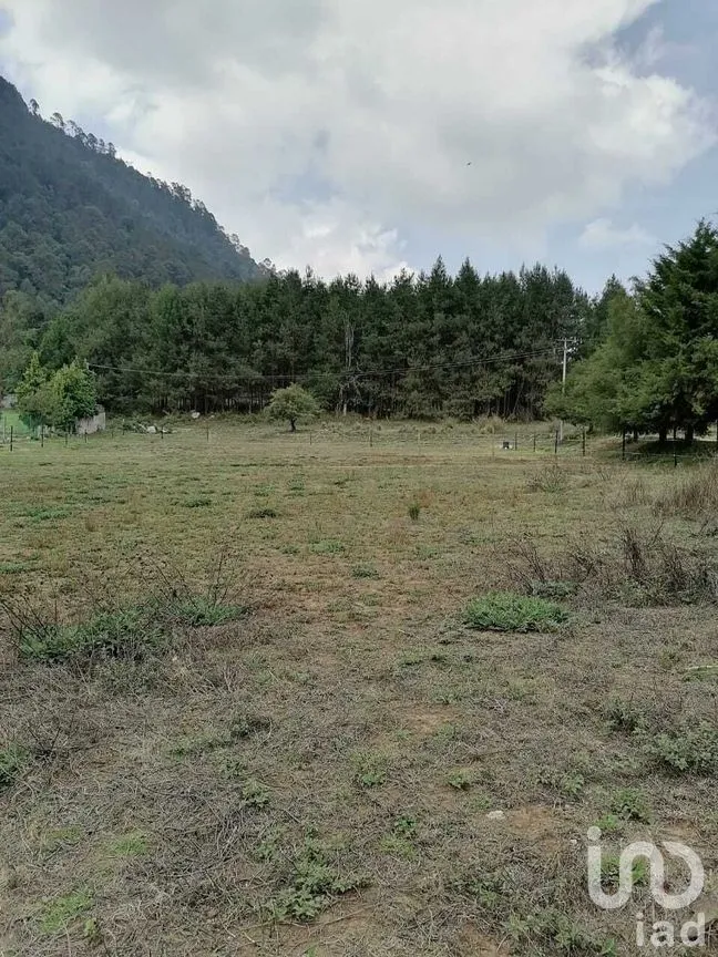 Terreno en Venta en Cerro Gordo, Valle de Bravo, Estado De México | NEX-227329 | iad México | Foto 4 de 7