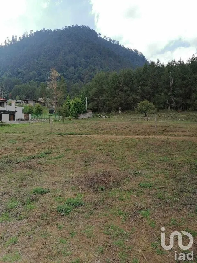 Terreno en Venta en Cerro Gordo, Valle de Bravo, Estado De México | NEX-227329 | iad México | Foto 5 de 7