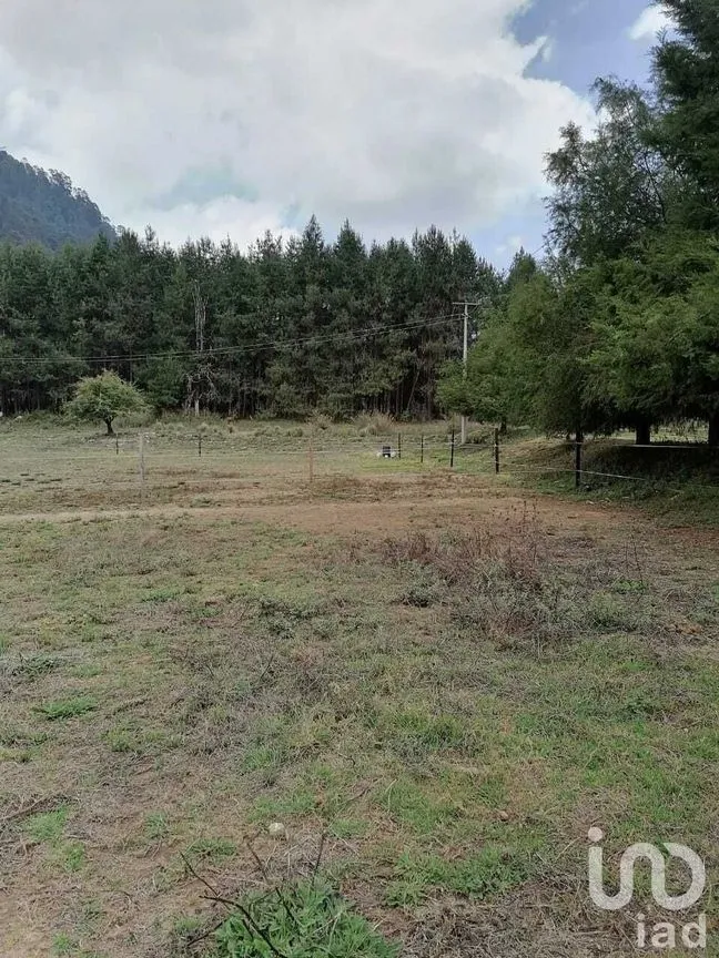 Terreno en Venta en Cerro Gordo, Valle de Bravo, Estado De México | NEX-227329 | iad México | Foto 1 de 7