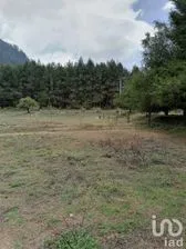NEX-227329 - Terreno en Venta en Cerro Gordo, CP 51239, Estado De México.