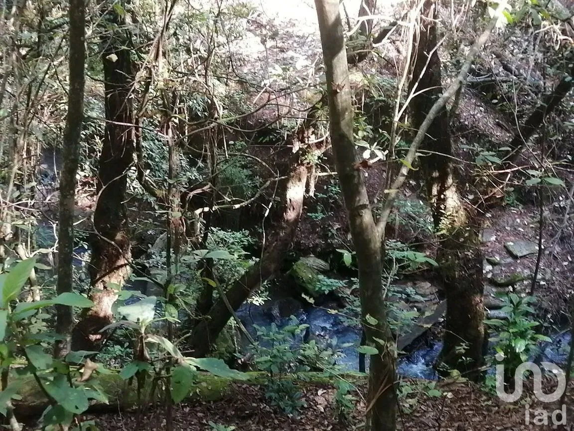 Terreno en Venta en Valle de Bravo, Valle de Bravo, Estado De México | NEX-227331 | iad México | Foto 3 de 7