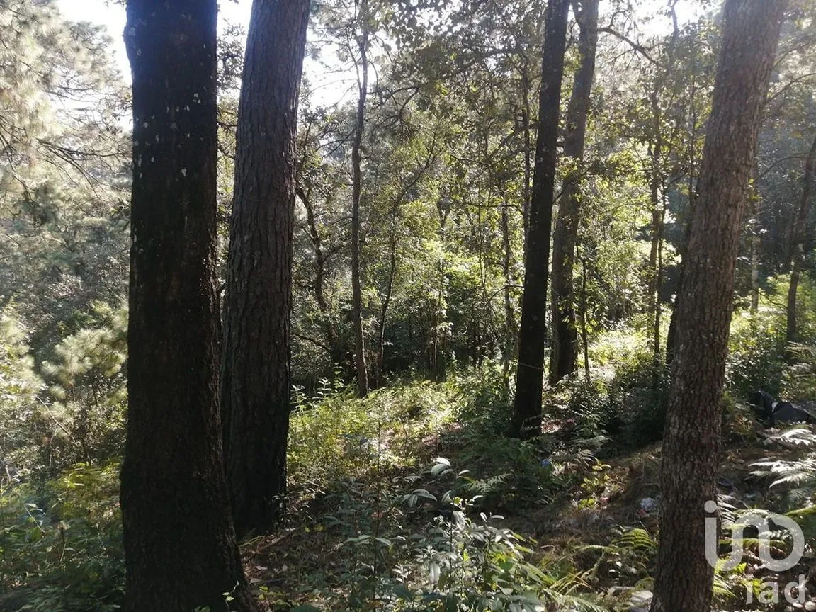 Terreno en Venta en Valle de Bravo, Valle de Bravo, Estado De México | NEX-227331 | iad México | Foto 4 de 7