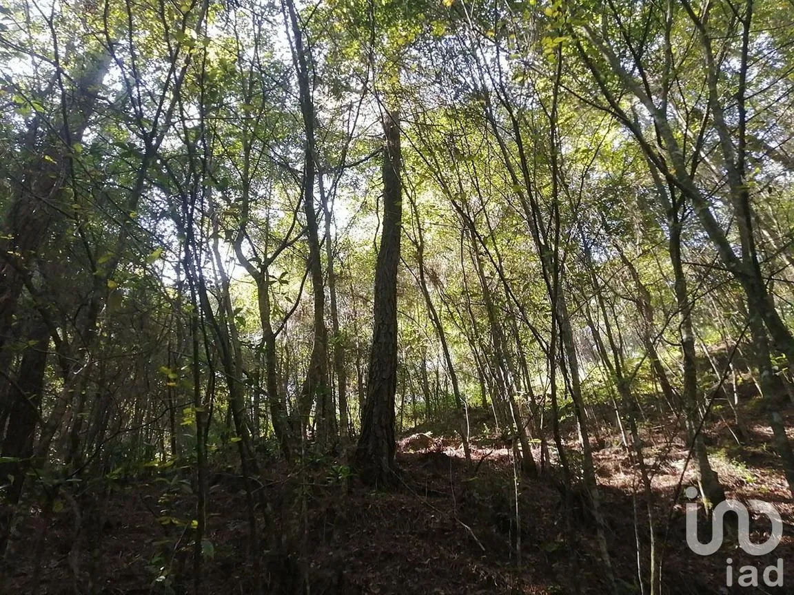 Terreno en Venta en Valle de Bravo, Valle de Bravo, Estado De México | NEX-227331 | iad México | Foto 5 de 7