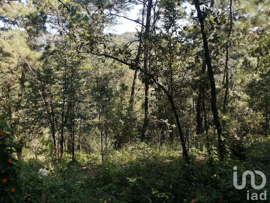 Terreno en Venta en Valle de Bravo, Valle de Bravo, Estado De México | NEX-227331 | iad México | Foto 6 de 7