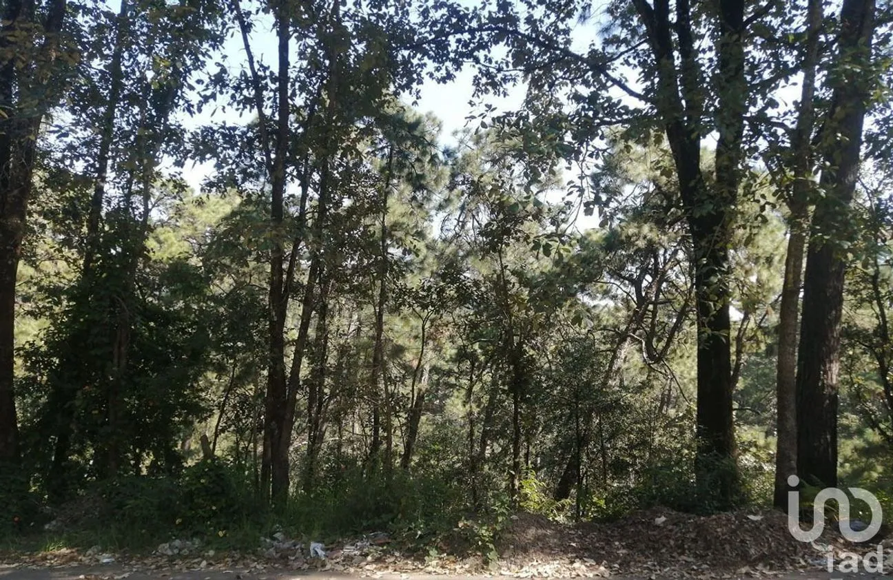 Terreno en Venta en Valle de Bravo, Valle de Bravo, Estado De México | NEX-227331 | iad México | Foto 7 de 7