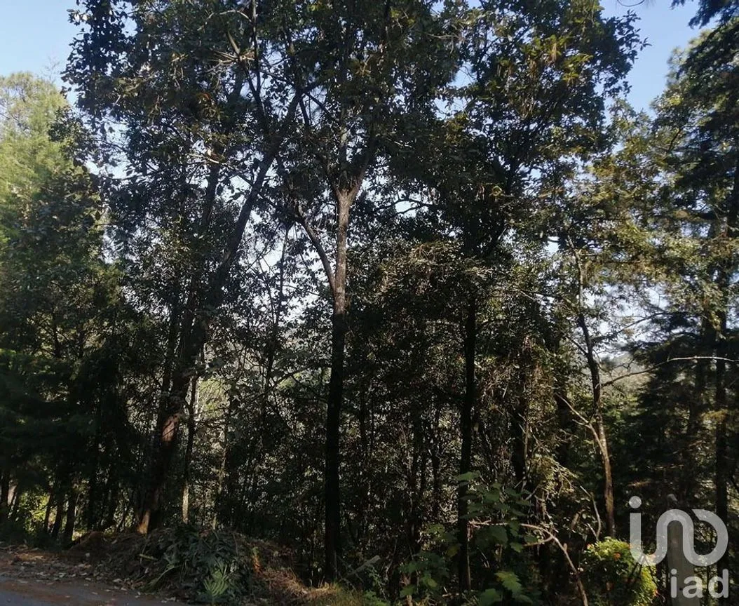 Terreno en Venta en Valle de Bravo, Valle de Bravo, Estado De México | NEX-227331 | iad México | Foto 1 de 7