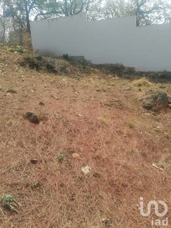 Terreno en Venta en Valle de Bravo, Valle de Bravo, Estado De México | NEX-227332 | iad México | Foto 11 de 12