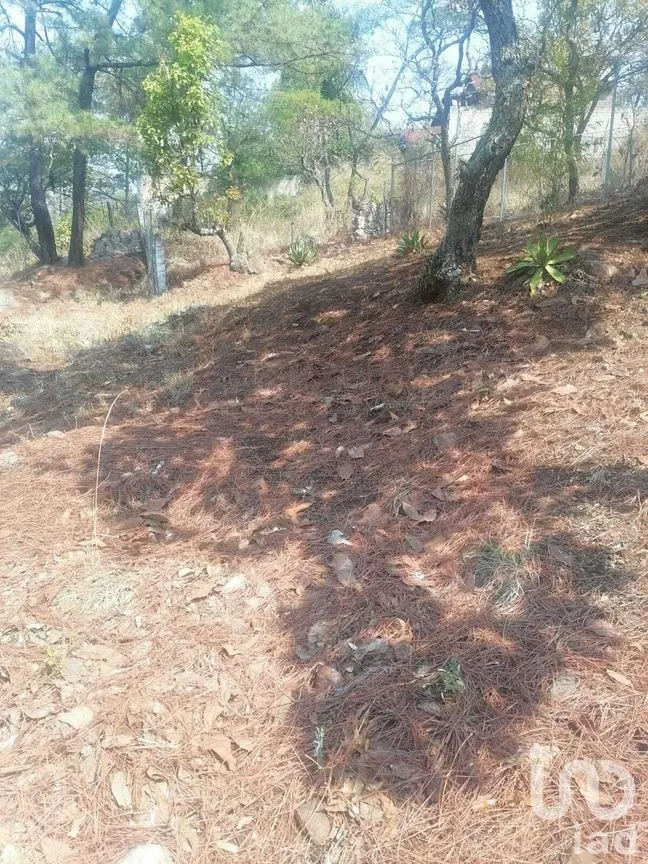 Terreno en Venta en Valle de Bravo, Valle de Bravo, Estado De México | NEX-227332 | iad México | Foto 12 de 12