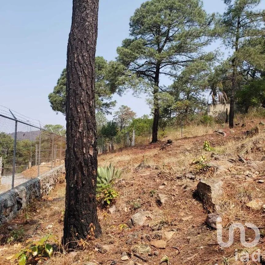 Terreno en Venta en Valle de Bravo, Valle de Bravo, Estado De México | NEX-227332 | iad México | Foto 4 de 12