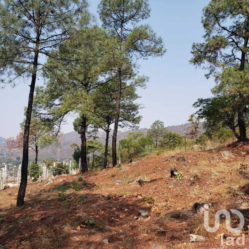 Terreno en Venta en Valle de Bravo, Valle de Bravo, Estado De México | NEX-227332 | iad México | Foto 5 de 12