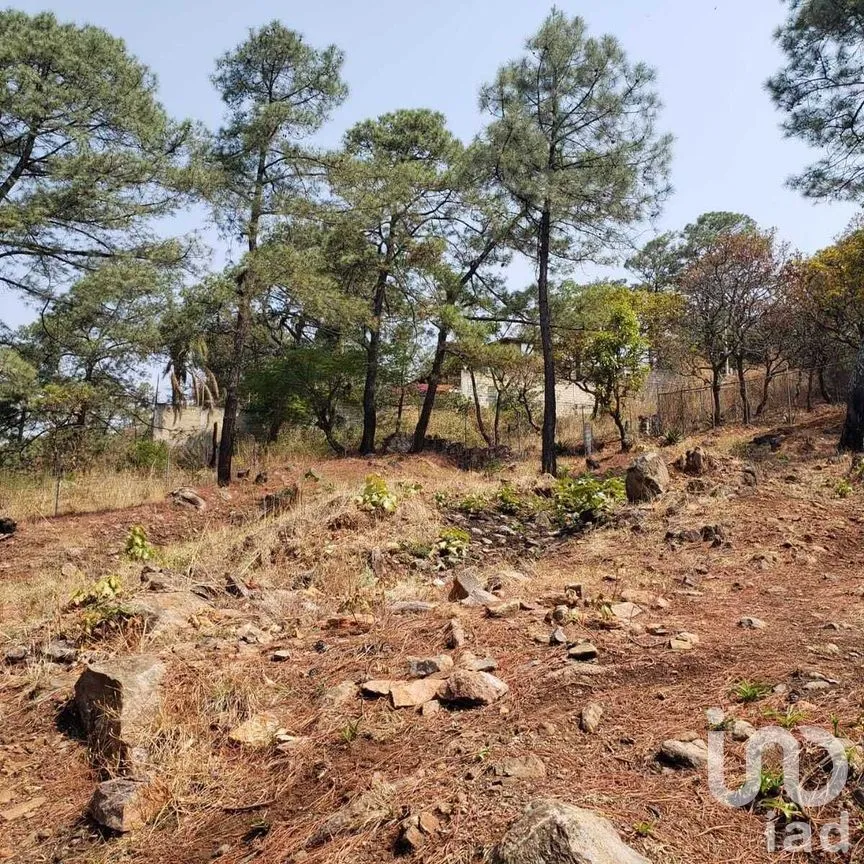 Terreno en Venta en Valle de Bravo, Valle de Bravo, Estado De México | NEX-227332 | iad México | Foto 6 de 12