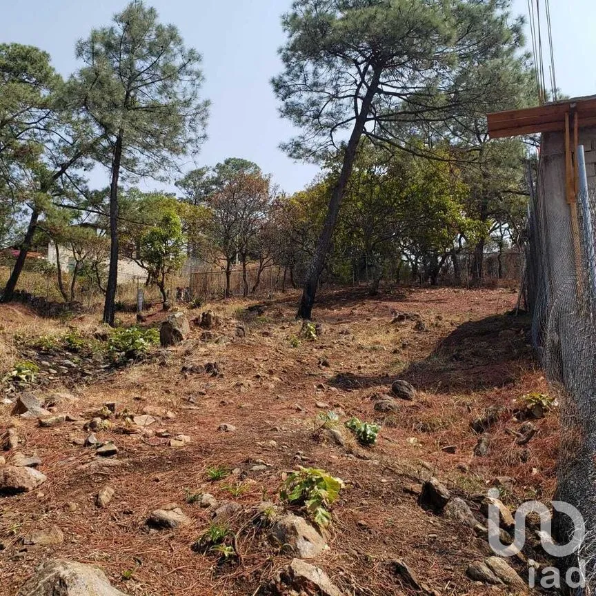 Terreno en Venta en Valle de Bravo, Valle de Bravo, Estado De México | NEX-227332 | iad México | Foto 7 de 12