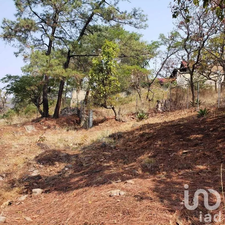 Terreno en Venta en Valle de Bravo, Valle de Bravo, Estado De México | NEX-227332 | iad México | Foto 8 de 12