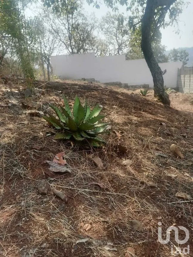 Terreno en Venta en Valle de Bravo, Valle de Bravo, Estado De México | NEX-227332 | iad México | Foto 9 de 12
