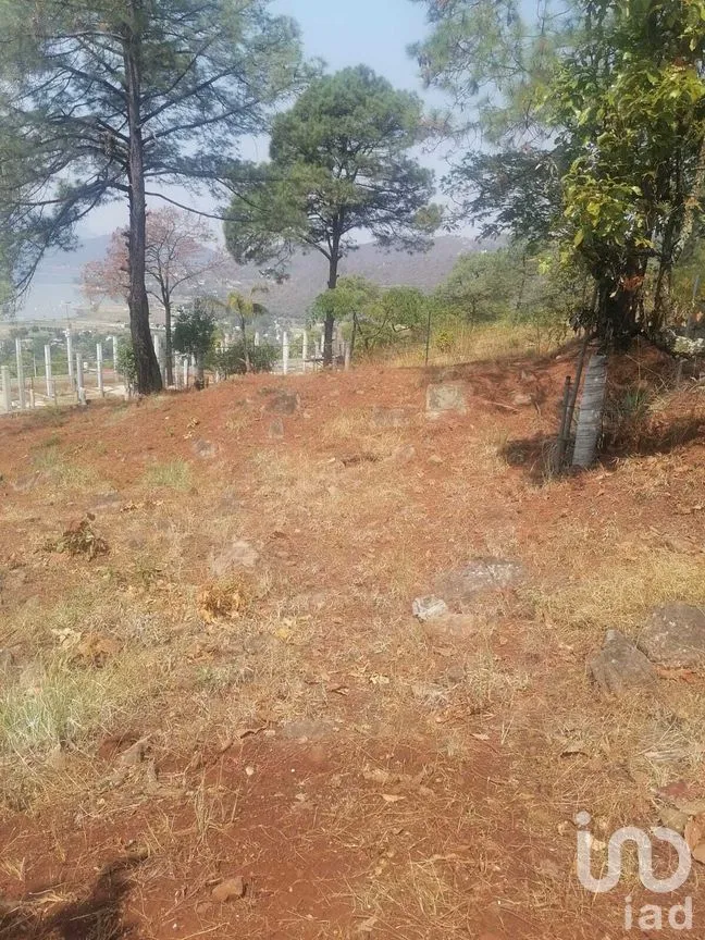 Terreno en Venta en Valle de Bravo, Valle de Bravo, Estado De México | NEX-227332 | iad México | Foto 10 de 12