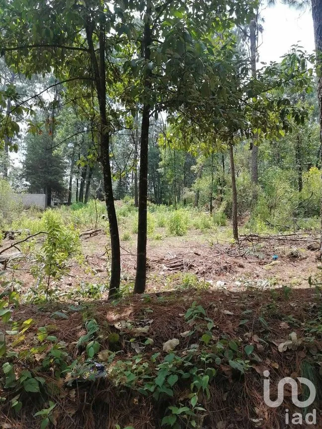 Terreno en Venta en Cerro Gordo, Valle de Bravo, Estado De México | NEX-227333 | iad México | Foto 2 de 9