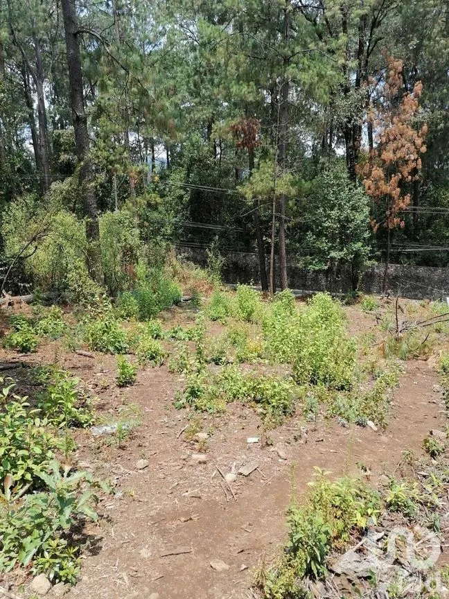 Terreno en Venta en Cerro Gordo, Valle de Bravo, Estado De México | NEX-227333 | iad México | Foto 5 de 9