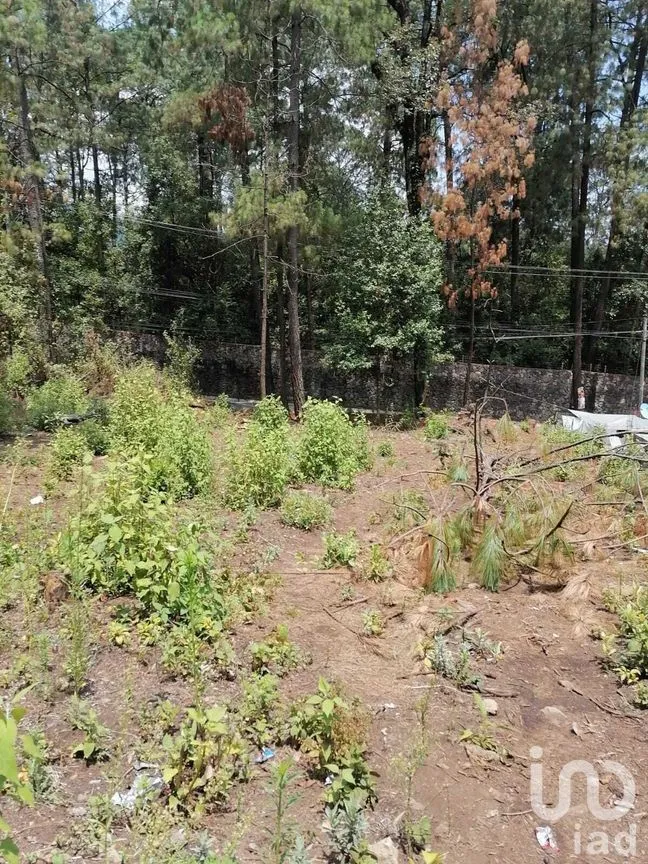 Terreno en Venta en Cerro Gordo, Valle de Bravo, Estado De México | NEX-227333 | iad México | Foto 9 de 9