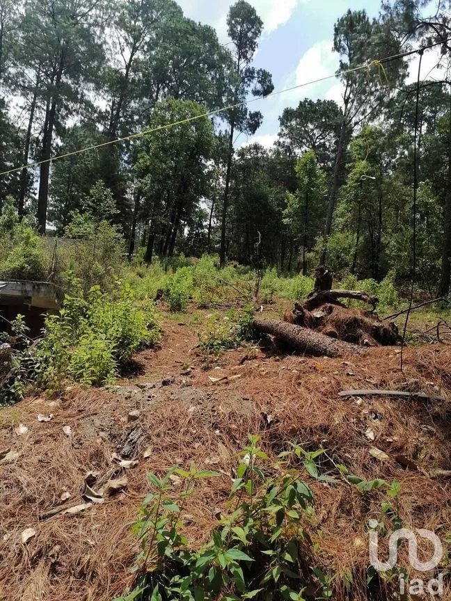 Terreno en Venta en Cerro Gordo, Valle de Bravo, Estado De México | NEX-227333 | iad México | Foto 1 de 9