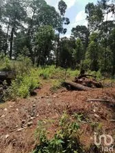 NEX-227333 - Terreno en Venta en Cerro Gordo, CP 51239, Estado De México.