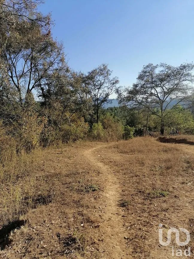 Terreno en Venta en Rincón de Estradas, Valle de Bravo, Estado De México | NEX-227334 | iad México | Foto 13 de 14