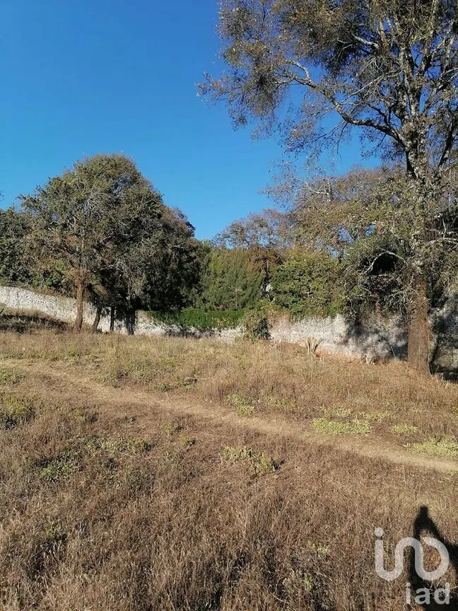 Terreno en Venta en Rincón de Estradas, Valle de Bravo, Estado De México | NEX-227334 | iad México | Foto 4 de 14