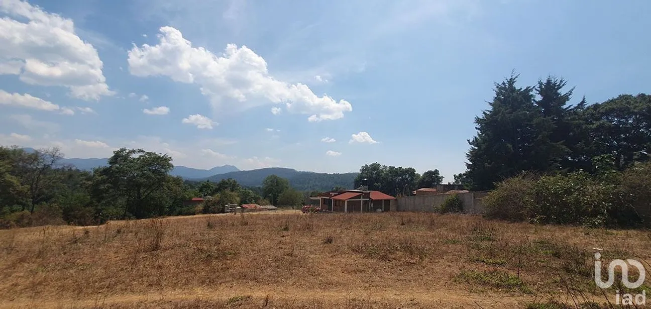 Terreno en Venta en Rincón de Estradas, Valle de Bravo, Estado De México | NEX-227334 | iad México | Foto 7 de 14