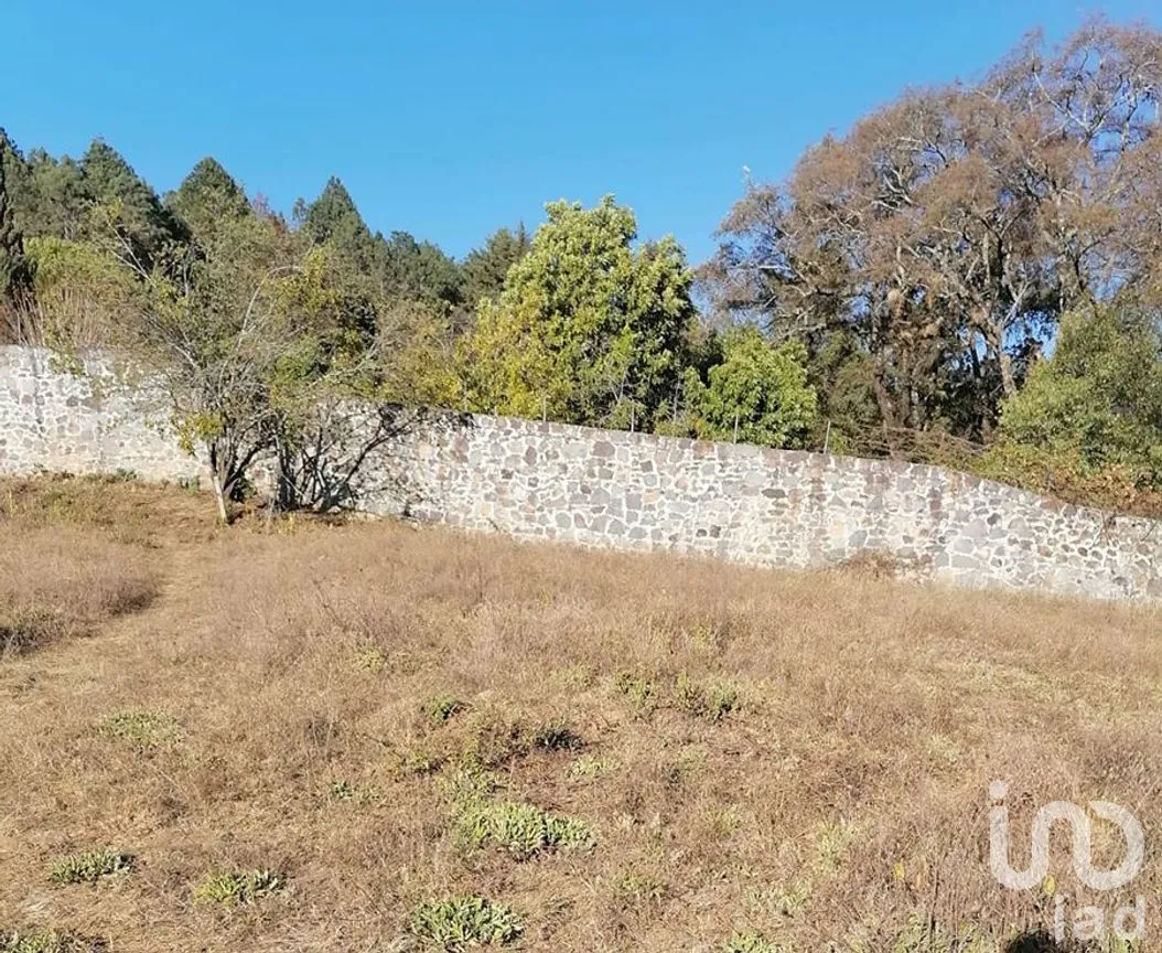 Terreno en Venta en Rincón de Estradas, Valle de Bravo, Estado De México | NEX-227334 | iad México | Foto 9 de 14