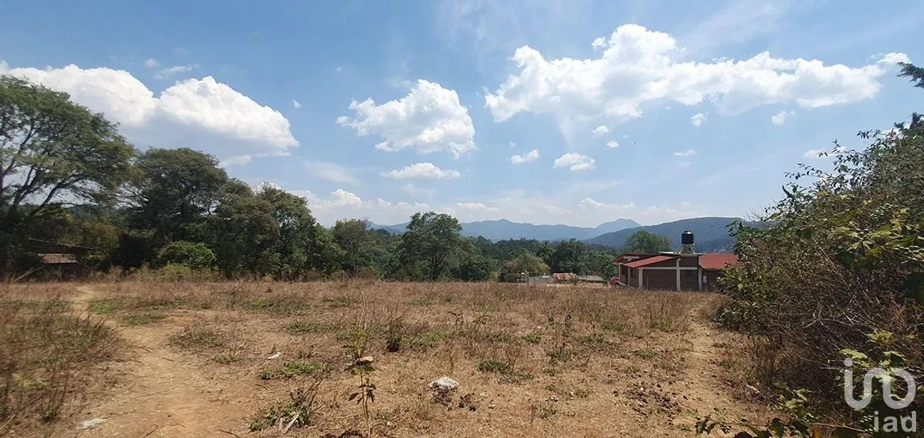 Terreno en Venta en Rincón de Estradas, Valle de Bravo, Estado De México | NEX-227334 | iad México | Foto 10 de 14