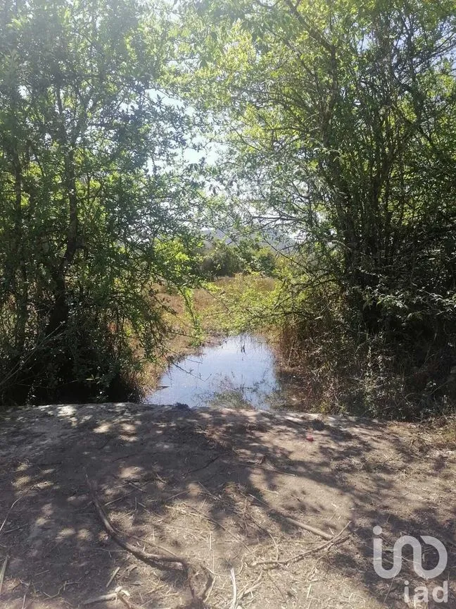 Terreno en Venta en El Fresno, Valle de Bravo, Estado De México | NEX-227335 | iad México | Foto 3 de 5
