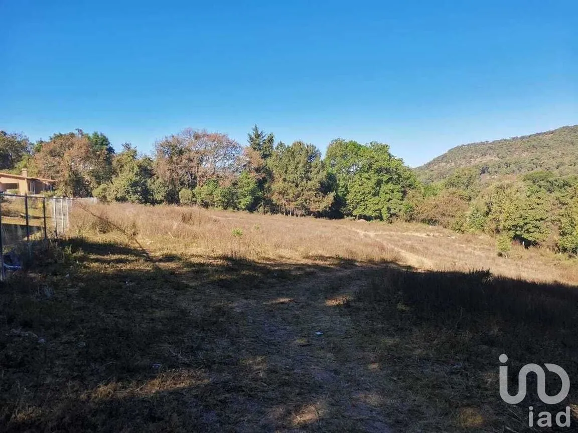 Terreno en Venta en Atesquelites, Valle de Bravo, Estado De México | NEX-227336 | iad México | Foto 11 de 31