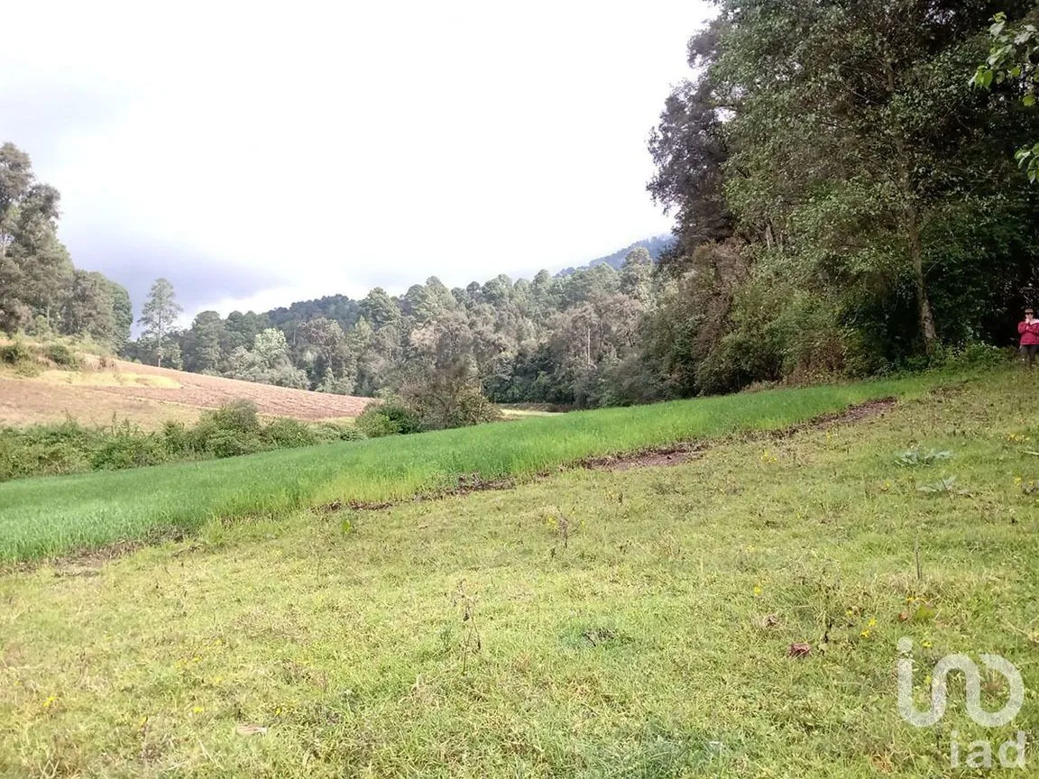 Terreno en Venta en Atesquelites, Valle de Bravo, Estado De México | NEX-227336 | iad México | Foto 12 de 31