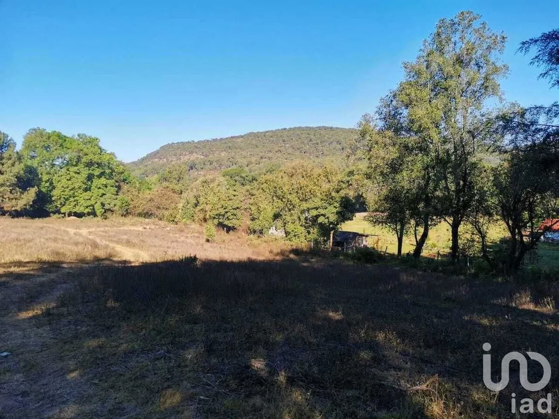 Terreno en Venta en Atesquelites, Valle de Bravo, Estado De México | NEX-227336 | iad México | Foto 13 de 31
