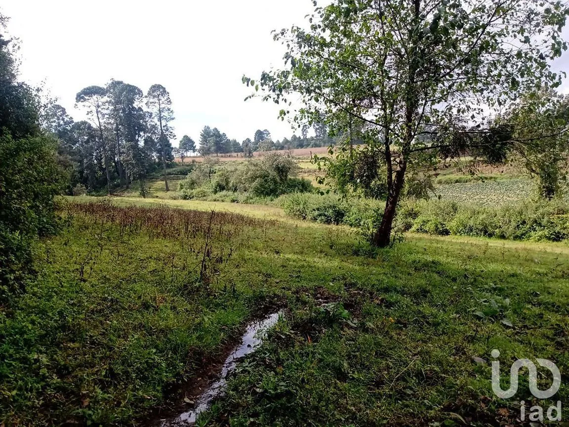 Terreno en Venta en Atesquelites, Valle de Bravo, Estado De México | NEX-227336 | iad México | Foto 14 de 31