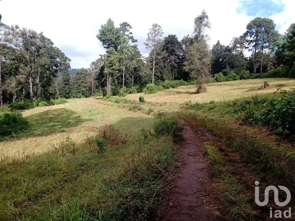 Terreno en Venta en Atesquelites, Valle de Bravo, Estado De México | NEX-227336 | iad México | Foto 15 de 31
