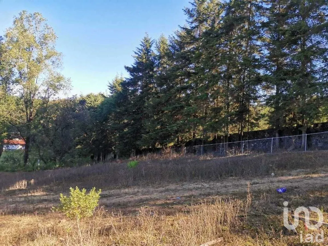 Terreno en Venta en Atesquelites, Valle de Bravo, Estado De México | NEX-227336 | iad México | Foto 16 de 31