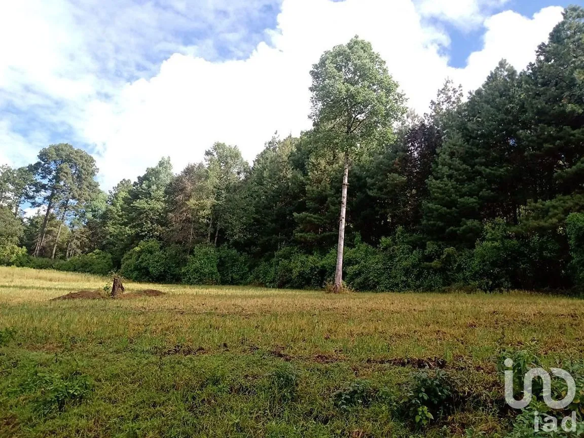 Terreno en Venta en Atesquelites, Valle de Bravo, Estado De México | NEX-227336 | iad México | Foto 18 de 31