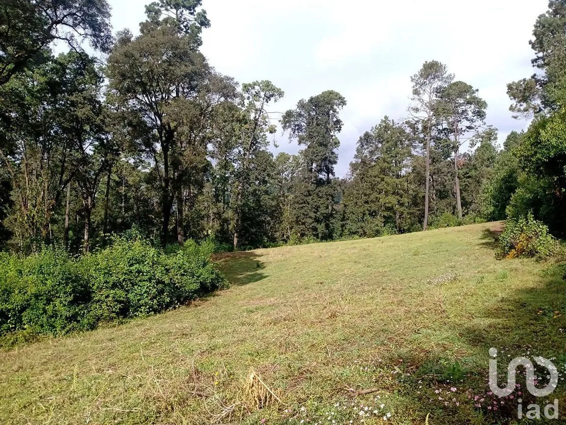 Terreno en Venta en Atesquelites, Valle de Bravo, Estado De México | NEX-227336 | iad México | Foto 19 de 31