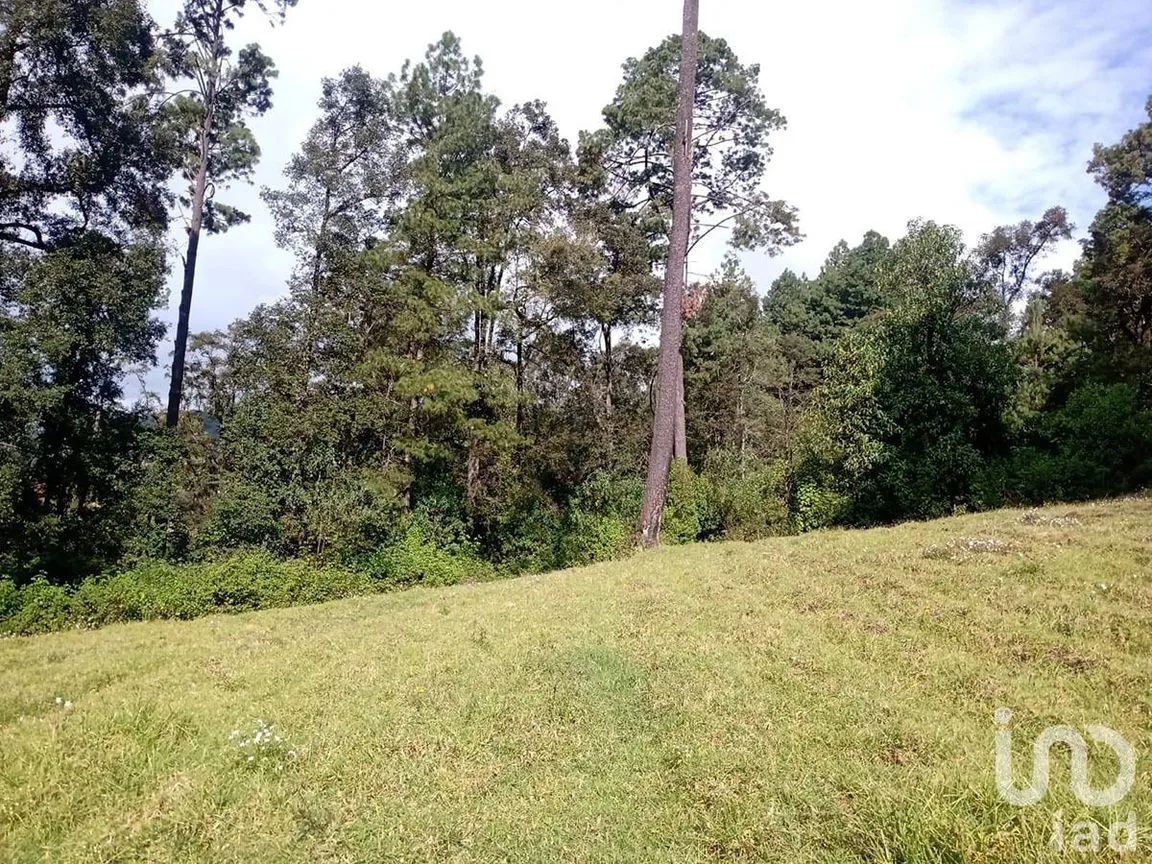 Terreno en Venta en Atesquelites, Valle de Bravo, Estado De México | NEX-227336 | iad México | Foto 21 de 31