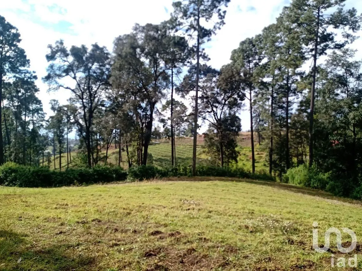 Terreno en Venta en Atesquelites, Valle de Bravo, Estado De México | NEX-227336 | iad México | Foto 22 de 31