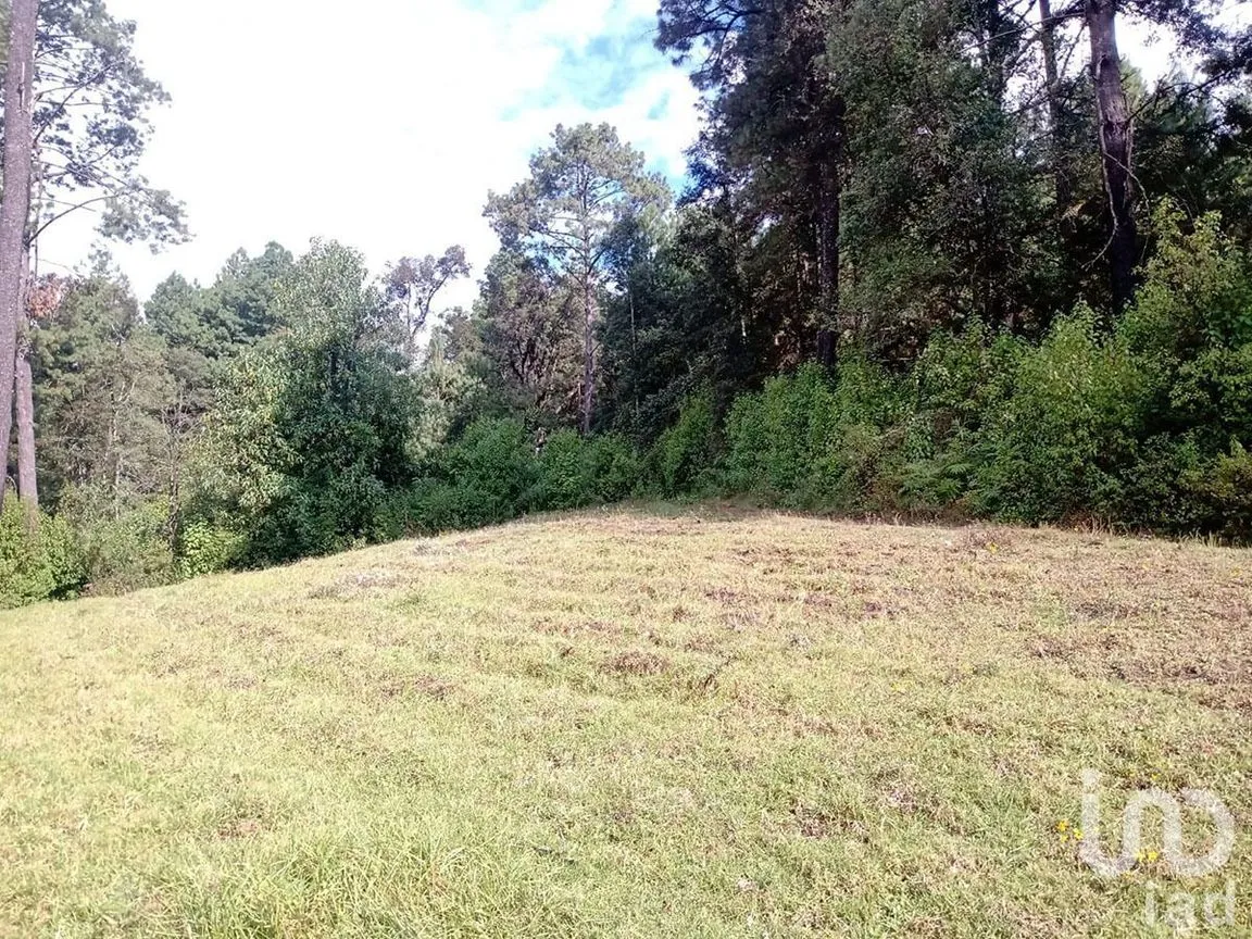 Terreno en Venta en Atesquelites, Valle de Bravo, Estado De México | NEX-227336 | iad México | Foto 23 de 31