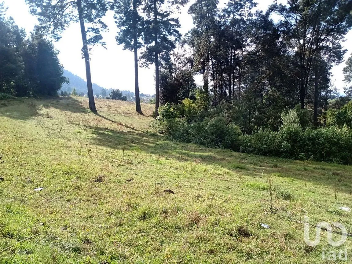 Terreno en Venta en Atesquelites, Valle de Bravo, Estado De México | NEX-227336 | iad México | Foto 24 de 31